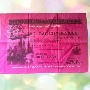 NEW Nicki Minaj VIP Gag City Pillowcase